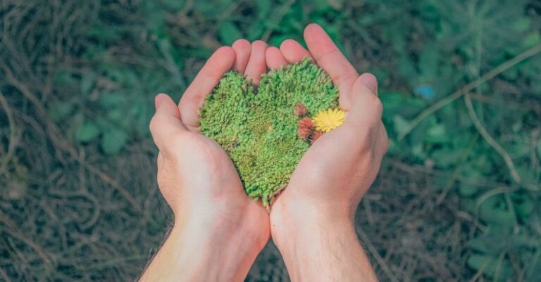 Environment - Person Holding Green Grains