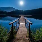 Relaxation - Brown Wooden Dock