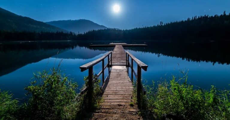 Relaxation - Brown Wooden Dock