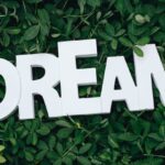 Dreams - Dream Text on Green Leaves